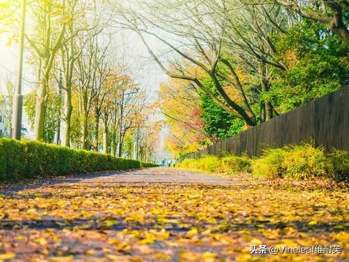 上火大便秘结怎么办,嘴唇干裂脱皮大便干燥怎么调理