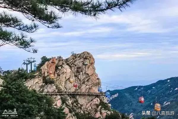 导游证山东免费的景区可以去吗,山东导游证可以免费进景区吗