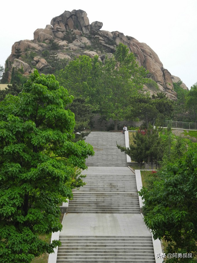 青岛二中2019高考成绩,经验分享大学专业