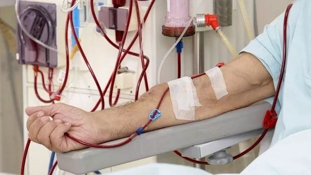 日本净化血液的最好方法 (日本最好的血液净化)