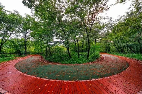 平阳千年古县遗产,平阳历史文化古街