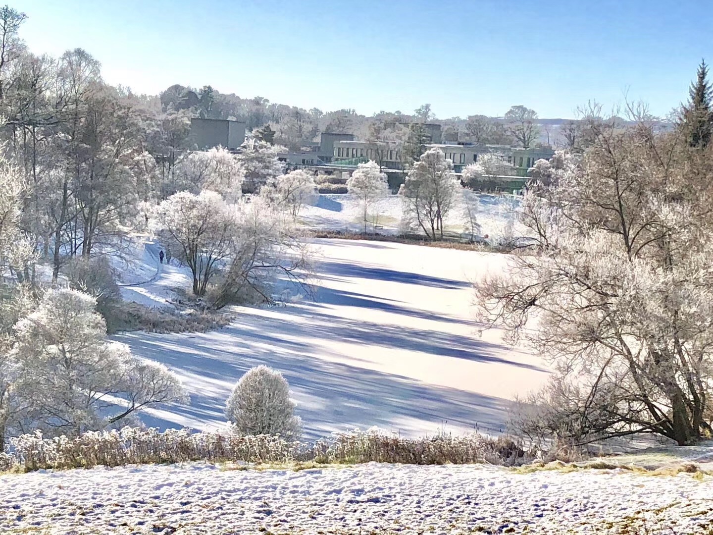 留学去英国选哪个航空公司,英博夏尔大学值得去吗