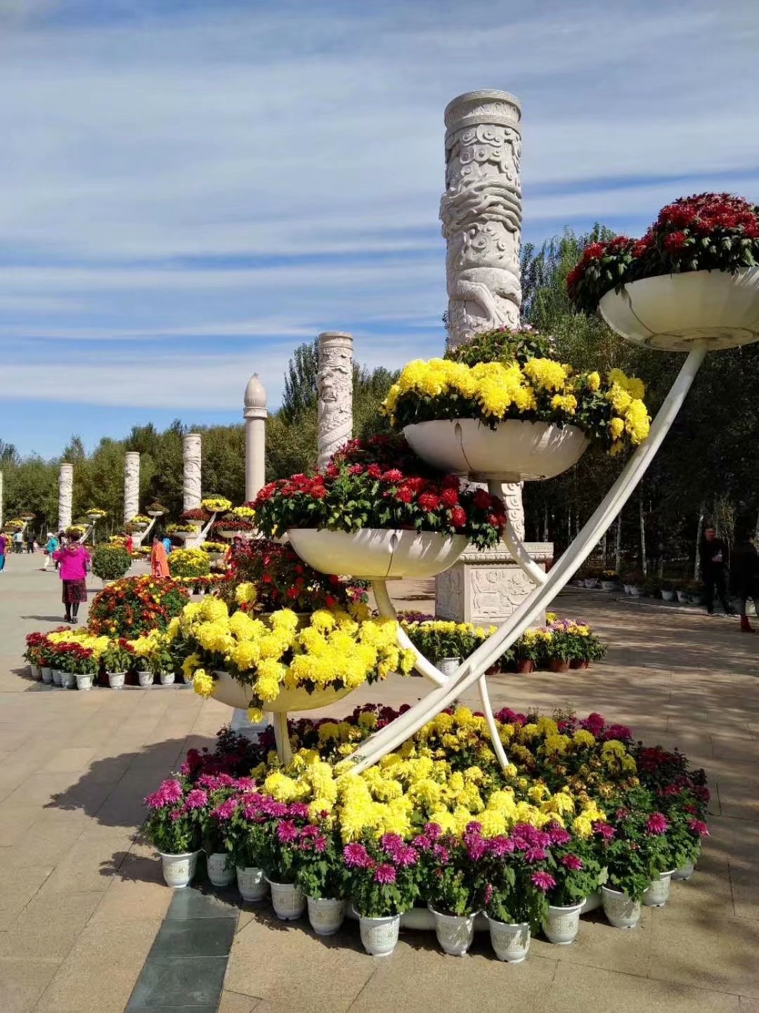 菊香九月香,菊花飘香散文