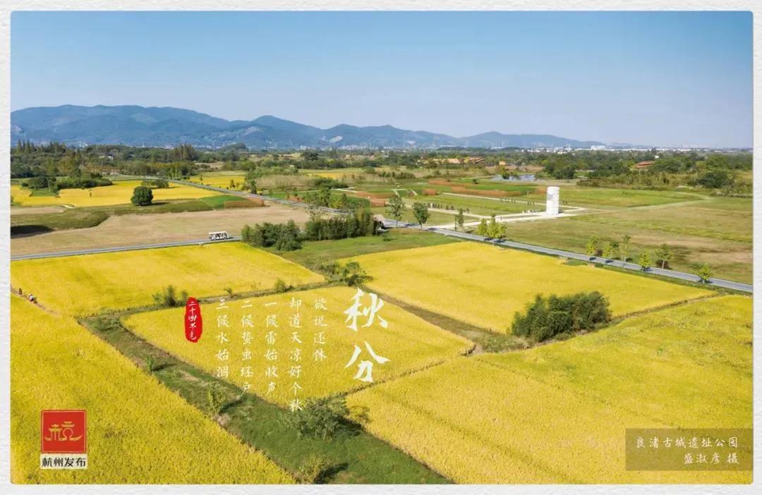 秋分来了,今天有个重要的节日!杭州何时入秋?警惕“秋老虎”