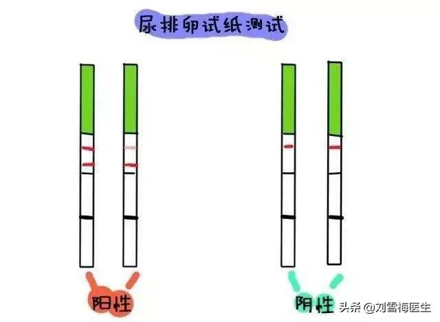 疫情期间在家怎么测试排卵,疫情期间怎么自己在家测胎心