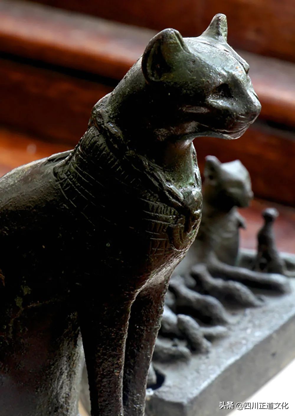 猫的故事高清图片,盘点猫的曾经故事