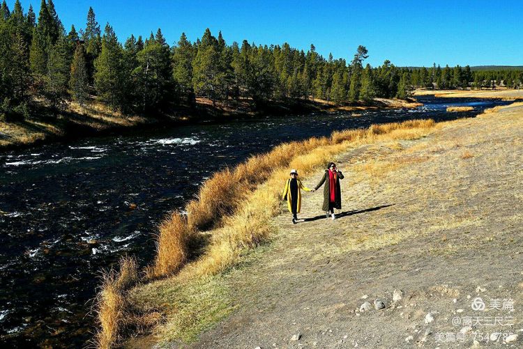鍖楃編鏋儏闃虫柊,鍖楃編鏋儏鍥剧墖