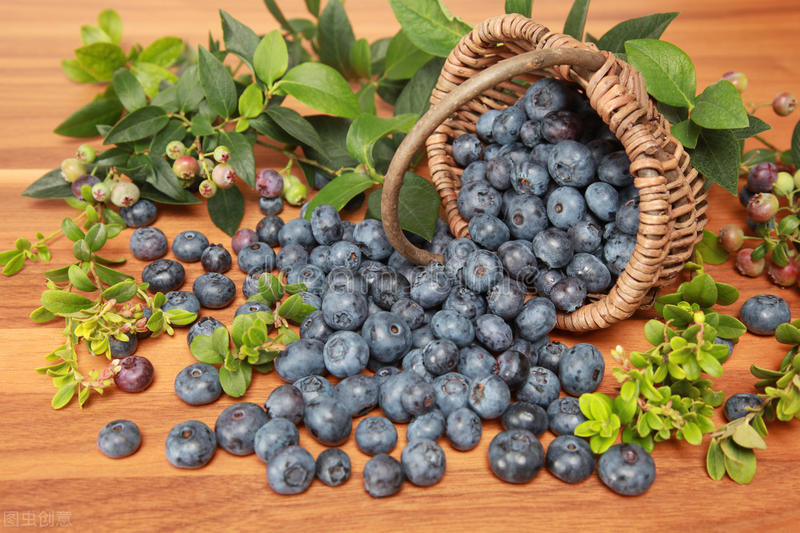 盆栽观果植物有哪些,观果植物具备哪些特征