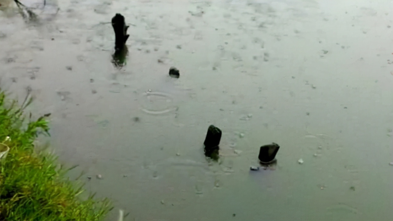 秋天爱吃龙虾?还不带上装备出动,钓龙虾的全套攻略送给大家