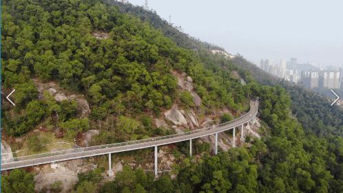 珠海春节游玩的地方有哪些,春节珠海旅游最佳攻略