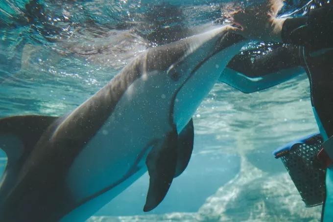 不一样的大阪三日游，瑠璃一束光，值得一来再来