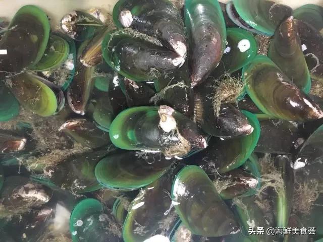 常见的鱼虾蟹等海鲜的认识,虾蟹类海鲜大全