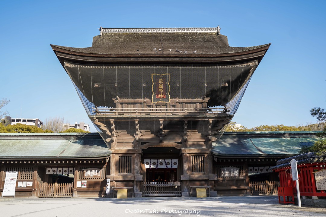 日本游轮游避坑,日本邮轮八天七夜具体行程