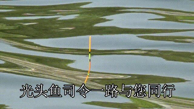 含氧量过高鱼好钓吗,钓鱼怎样判断含氧量高和低