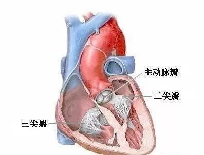 重庆附一院出名的科室有哪些,重庆西南医院擅长哪些科室