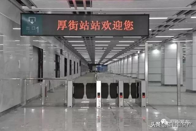 大局已定惠州横沥在哪呢,大局已定2020