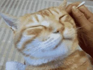 耳屎可以经常掏耳朵吗,掏耳屎的危害有多大