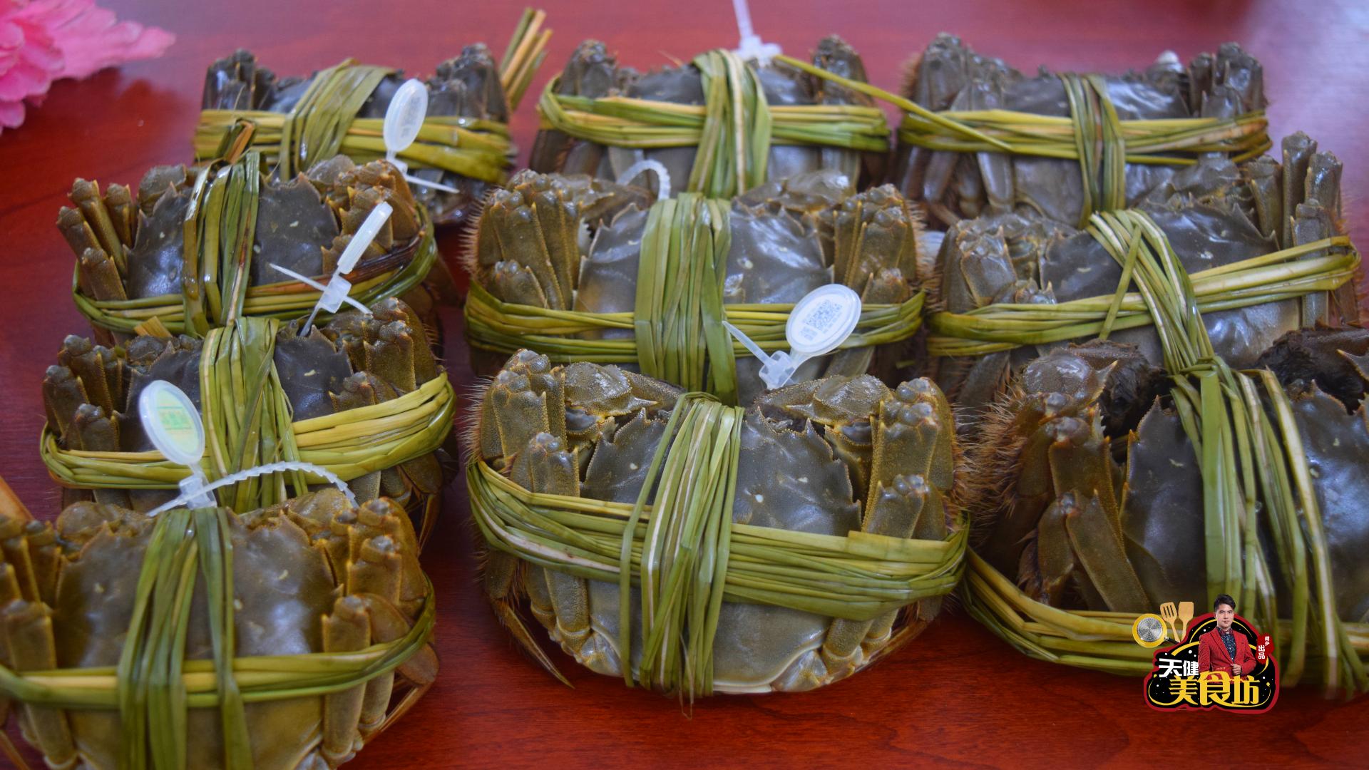 团购1000只大闸蟹试吃,试吃阳澄湖大闸蟹视频