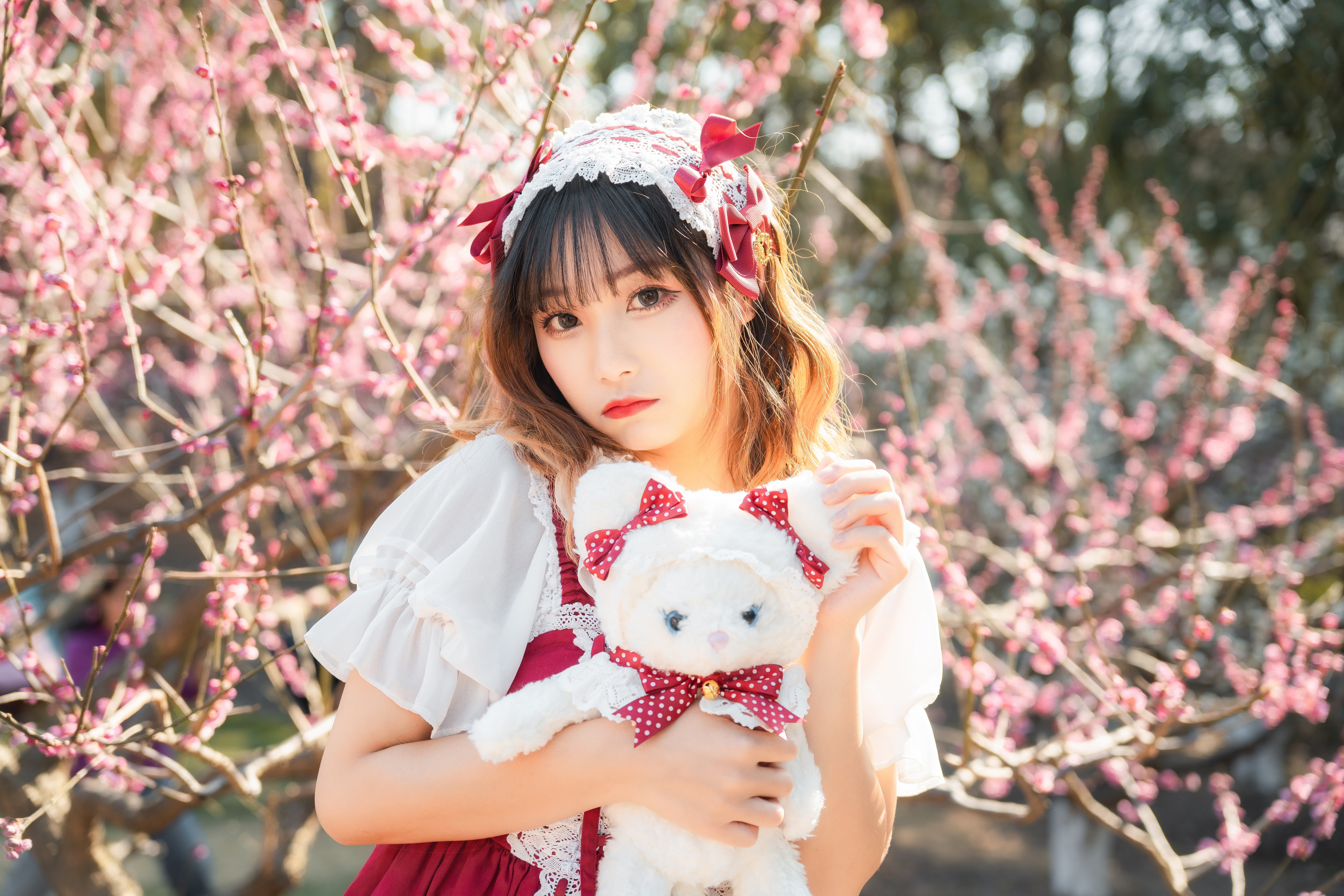 适马24-702.8二代镜头测评,适马新出的24-702.8镜头怎样