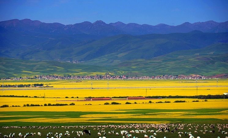 来感受大西北的异域风情,领略一下西北风情