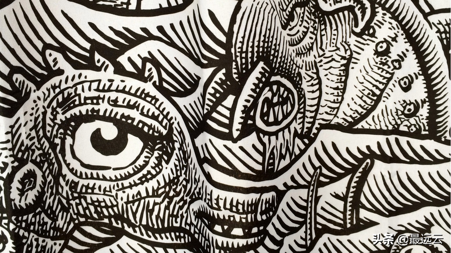 经典传奇湖底谜团水怪,尼斯湖水怪谜团