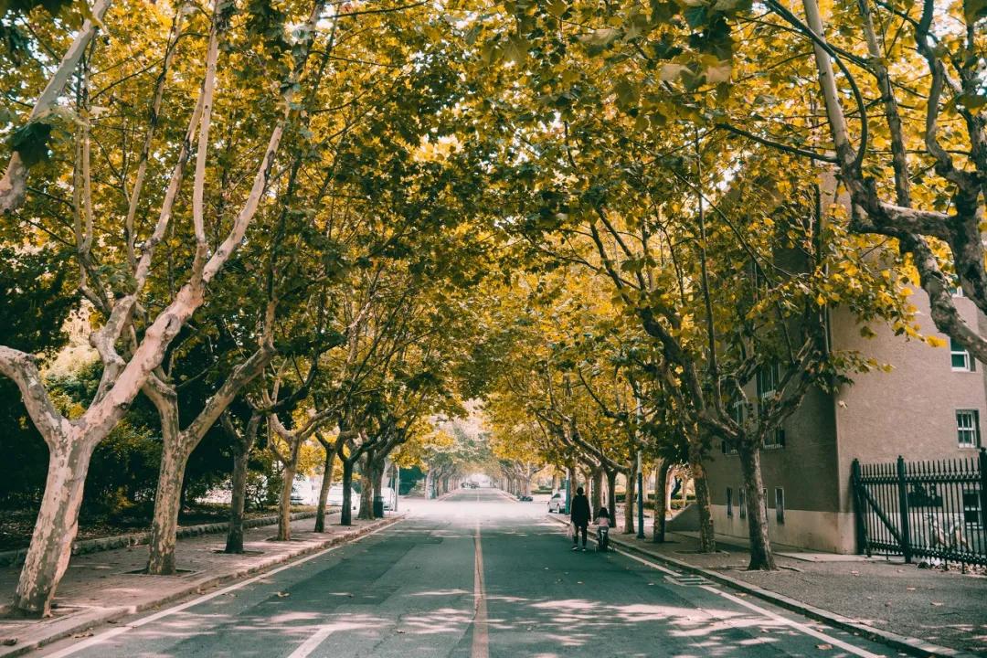 美过三亚！比厦门浪漫！中国这座海滨老城，去一次相当于环游世界