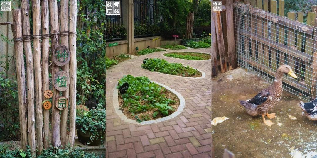 这里有最好的自然、最野的运动、最幸福的老师和孩子丨走进幼儿园