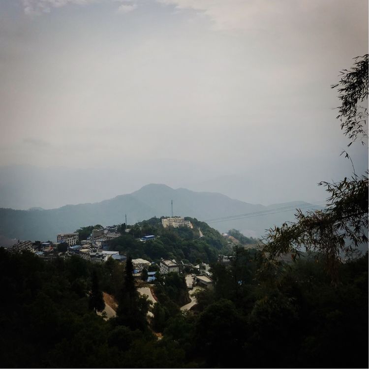 昔归，天下一品茗茶山行