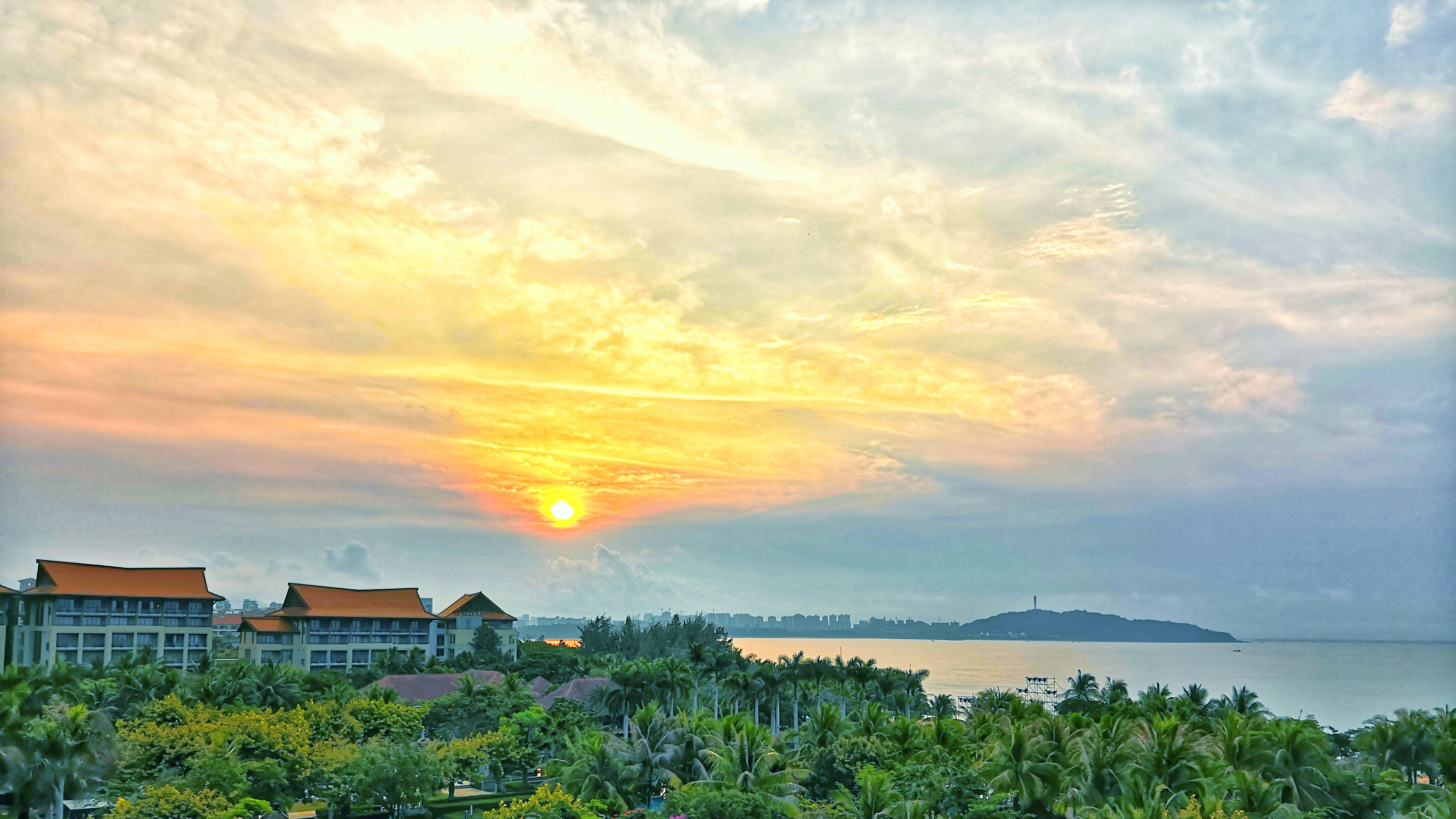 都是网红惹的祸,都是网红惹的祸完整版