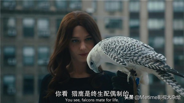 亿万第四季怎么不更新了,亿万第四季什么时候出来