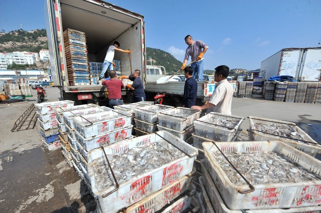 货运司机行业怎么样,新手入行货运行业怎么样