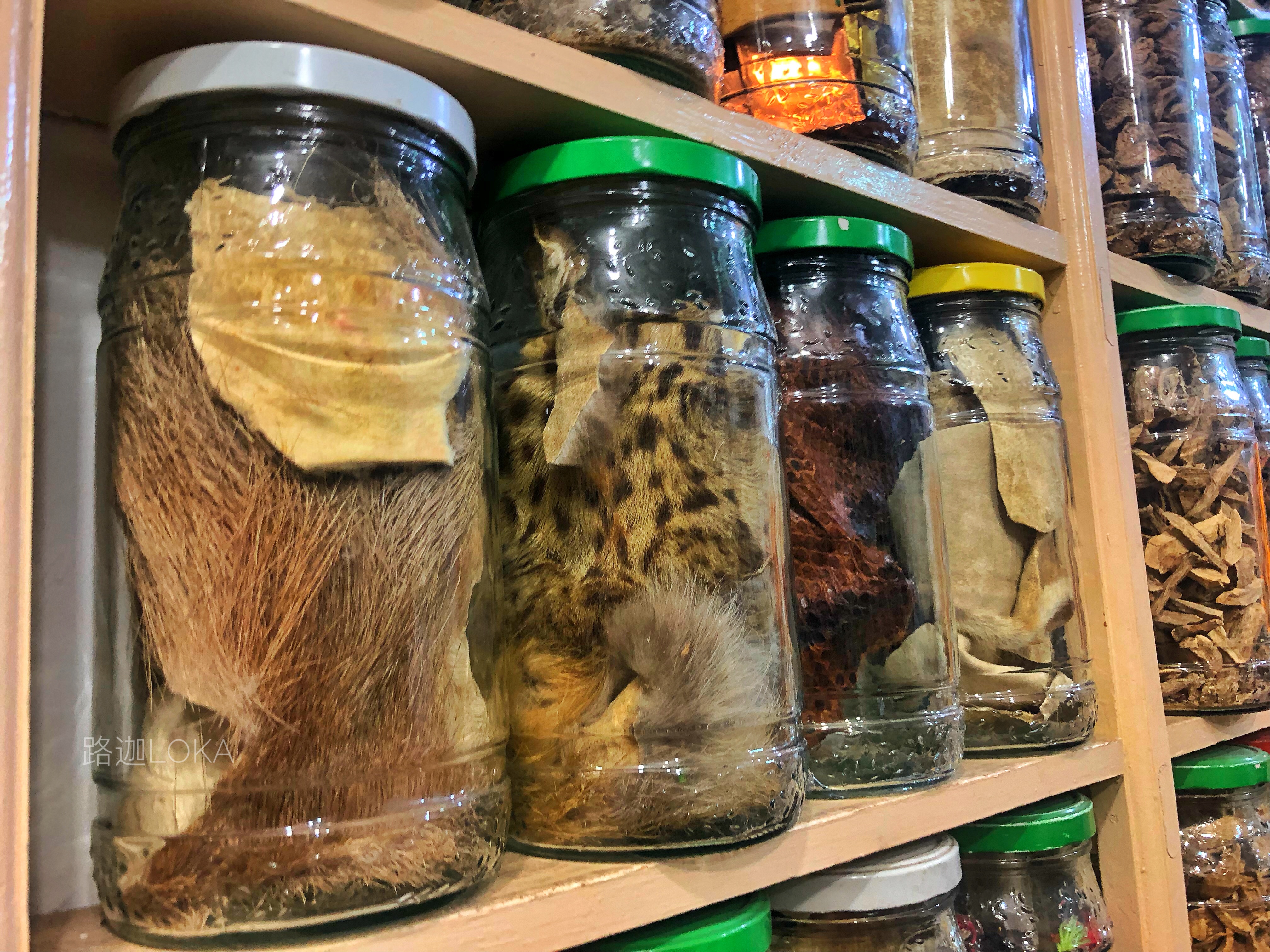 摩洛哥黑魔法,探秘神奇的摩洛哥