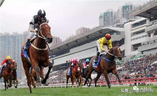 揭秘职业赛马骑师一年能赚多少钱,在马场做马蹄师收入如何