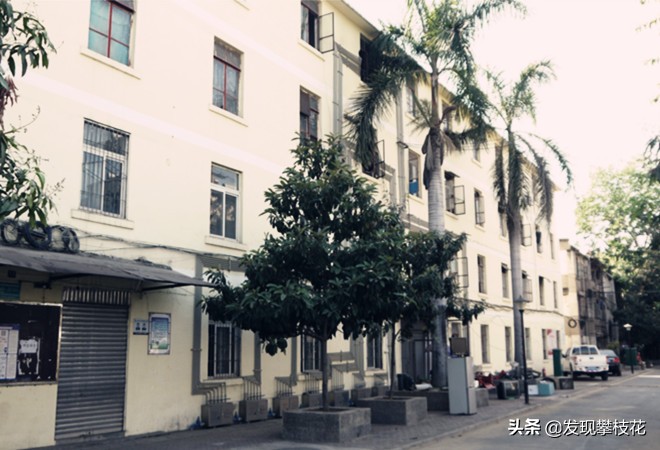 船厂生活区小区,攀枝花渡口船厂小区简介