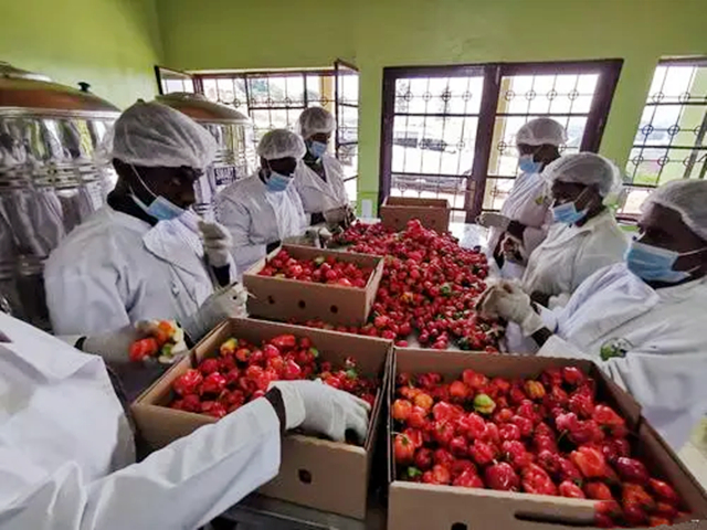 卢旺达：看不到脏乱差的非洲国家