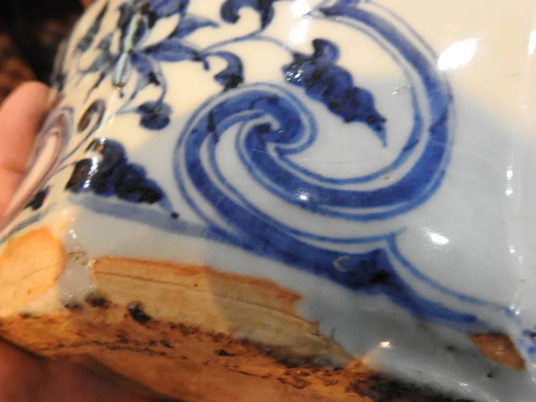 鍏冮潚鑺卞寽鐪熷搧鐗瑰緛,姘戠獞鍏冮潚鑺辩鐗瑰緛