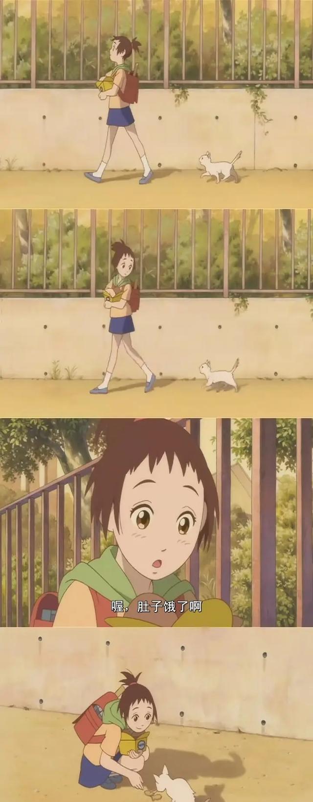 中华田园橘白猫脾气好吗,中华田园白猫配什么猫