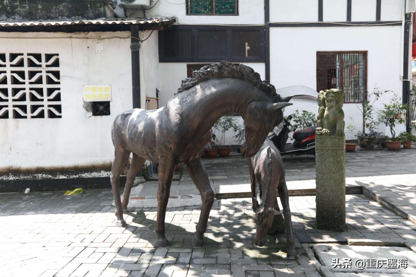 探寻九龙天棺,探索九龙游