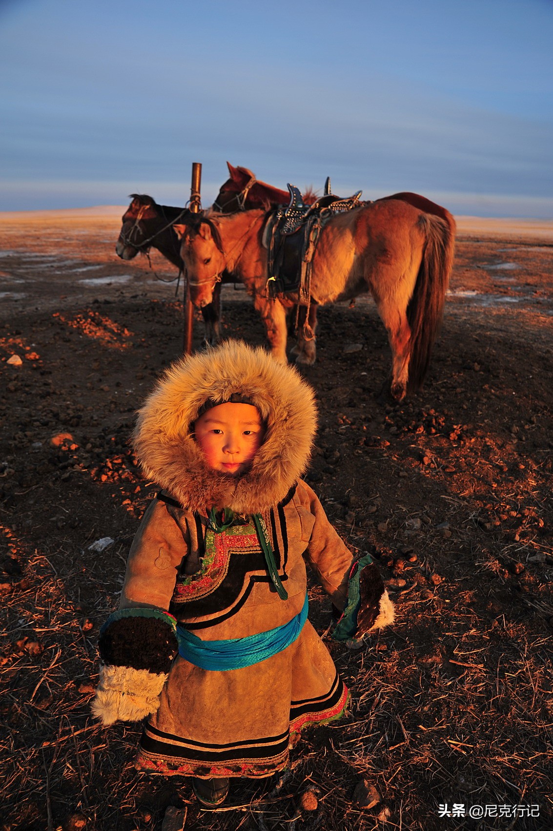 -30℃草原生活：羊群抱团取暖，马背全是冰，牧民坚守自然规律