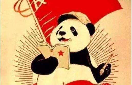 书山有路,莫让年华虚度——与我初一的学弟学妹们说说心里话