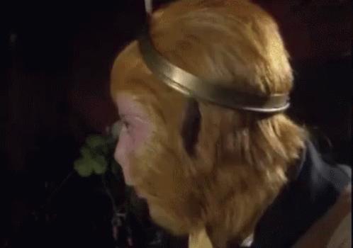 《在下张飞有何贵干》，日式四大名著的名字太有内味了