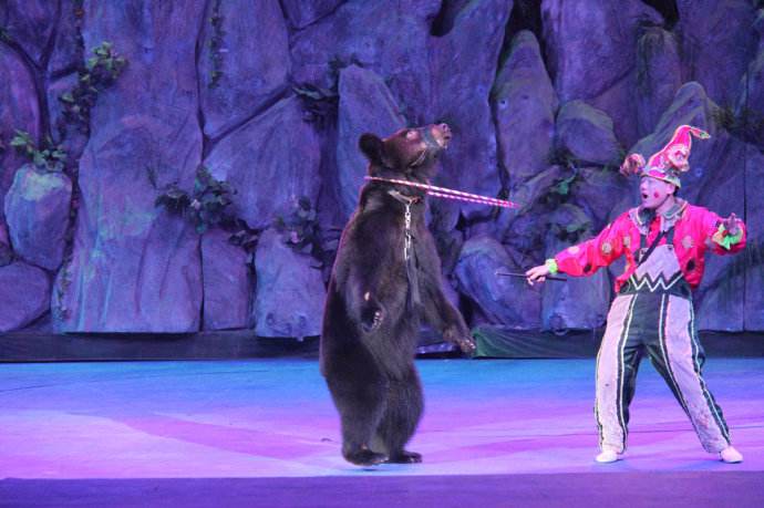 广州长隆好玩还是珠海长隆好,广州长隆和珠海长隆哪个好玩一些