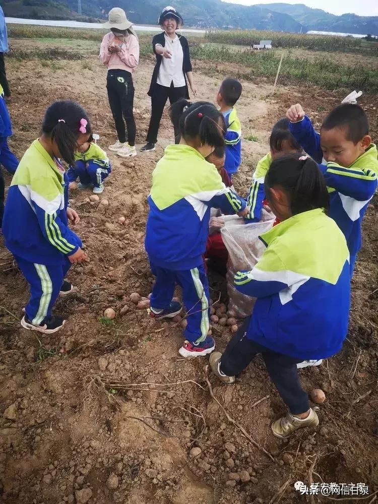 金太阳幼儿园校门,延安市甘泉谢金庄幼儿园