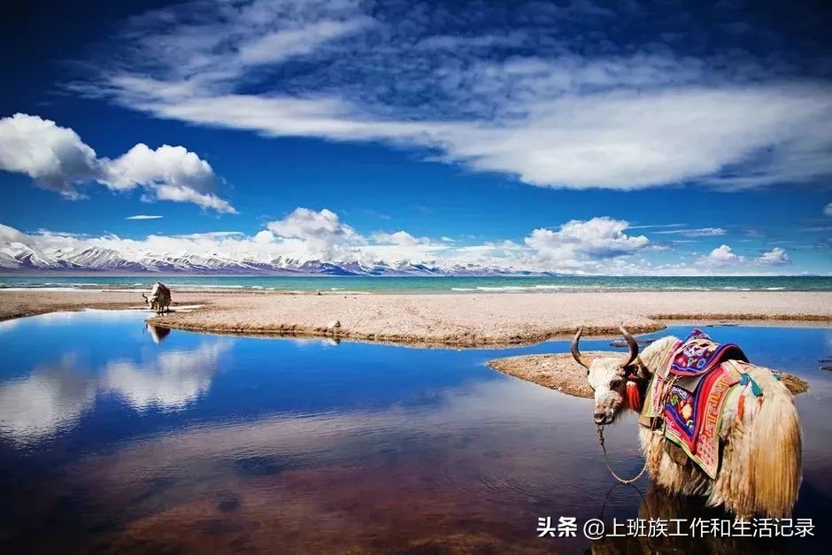 各省特产美食一览表格图片,各省名贵特产类特殊资源清单