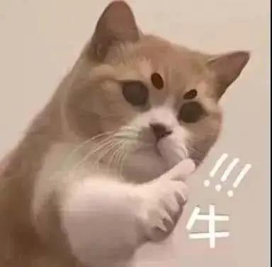 不用交社保可以直接入户深圳吗,不用社保可以办居住证吗