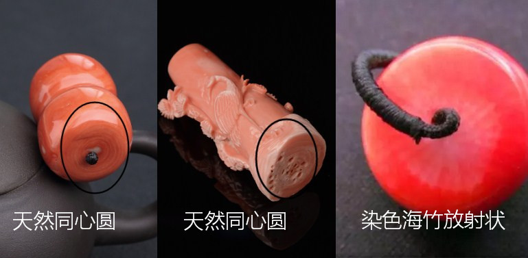 日本红珊瑚有假货吗,红珊瑚真伪视频