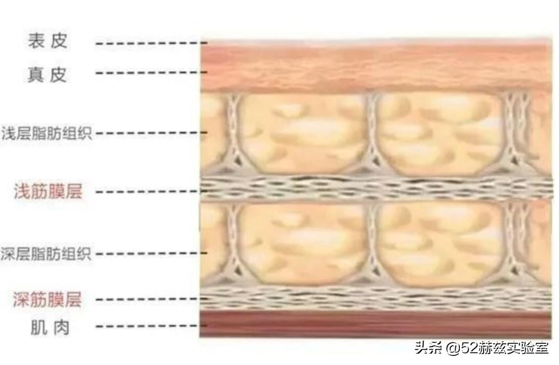超声刀的公司优势,超声刀美国的品牌叫什么
