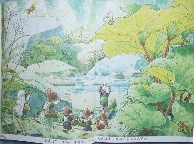 14只老鼠洗衣服阅读笔记,14只老鼠洗衣服的绘本故事