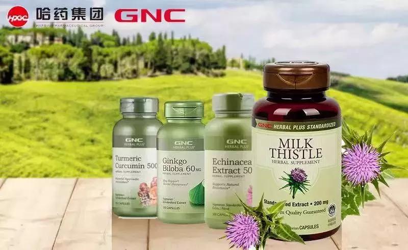 哈药牵手全球最大营养品零售商gnc,gnc与哈药集团