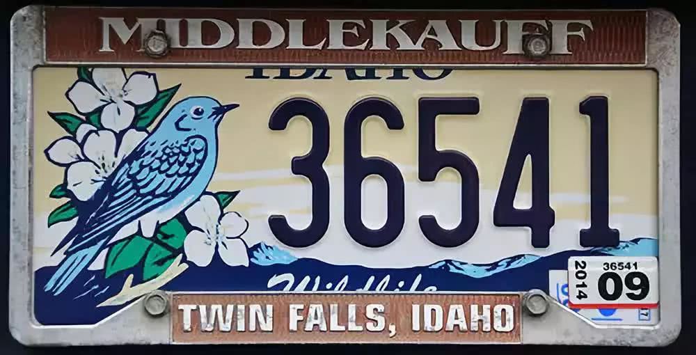 美国各省份的车牌,美国各大州车牌